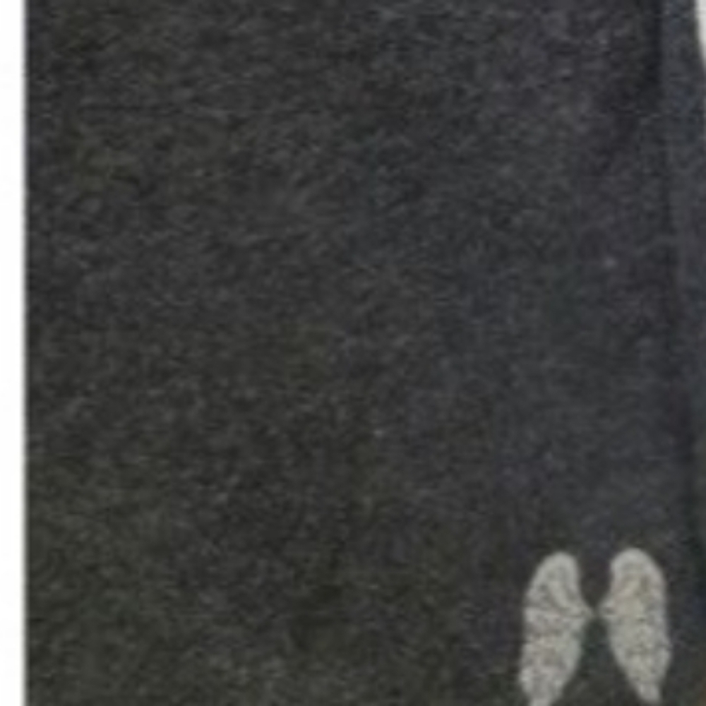 Victoria's Secret VS angel Pull Over Hoodie - Picture 5 of 5